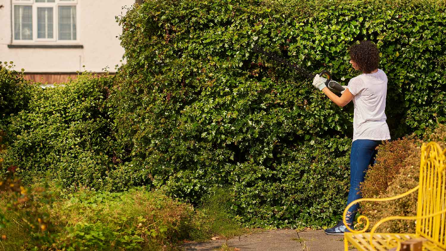 A woman trimming an overgrown bush