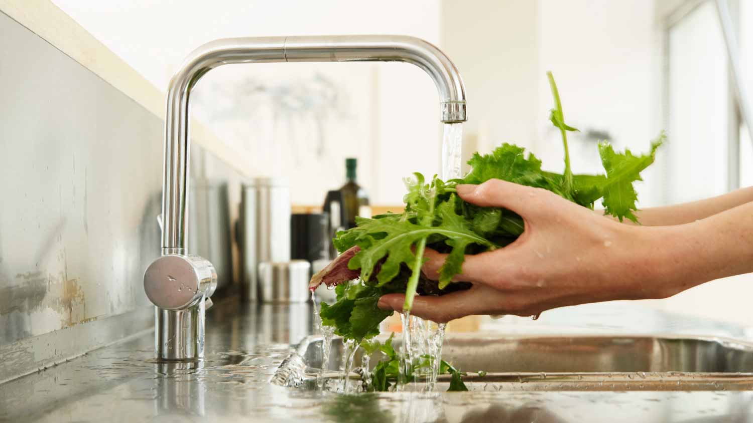 woman washing lettuce at kitchen sink