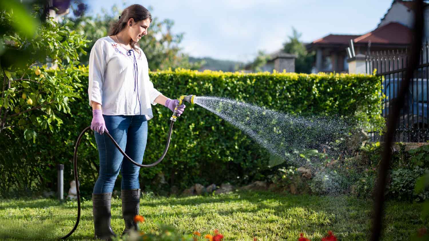 A woman watering the lawn