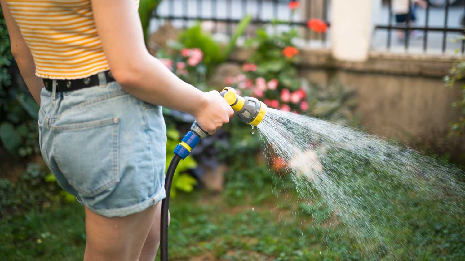 woman watering lawn