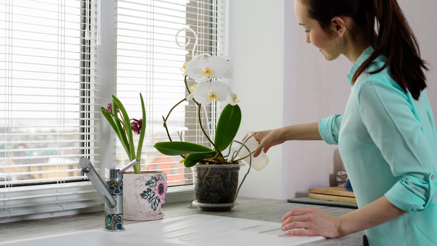 A woman watering orchid