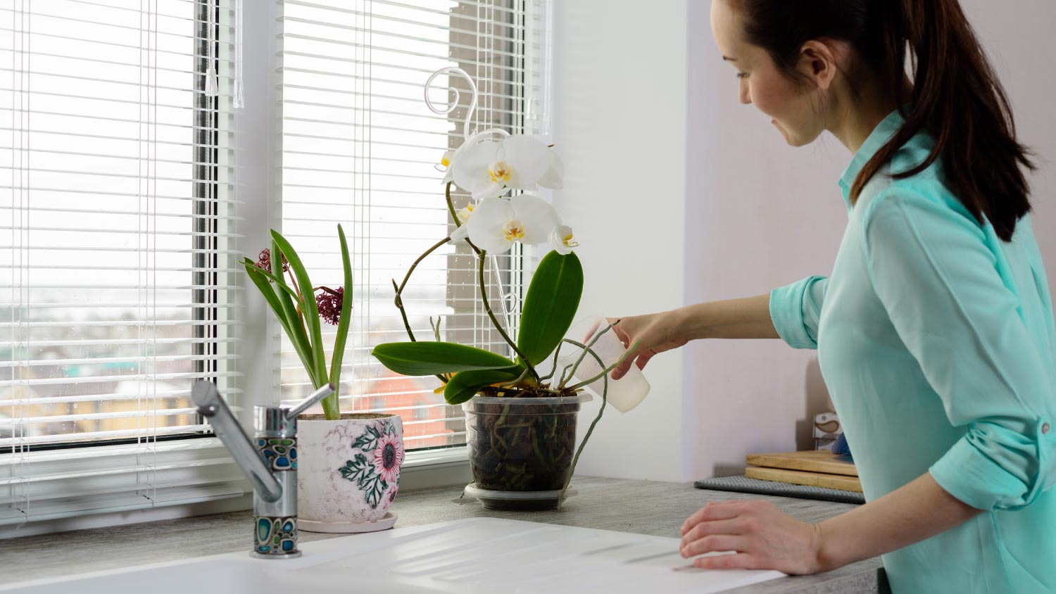 A woman watering orchid 