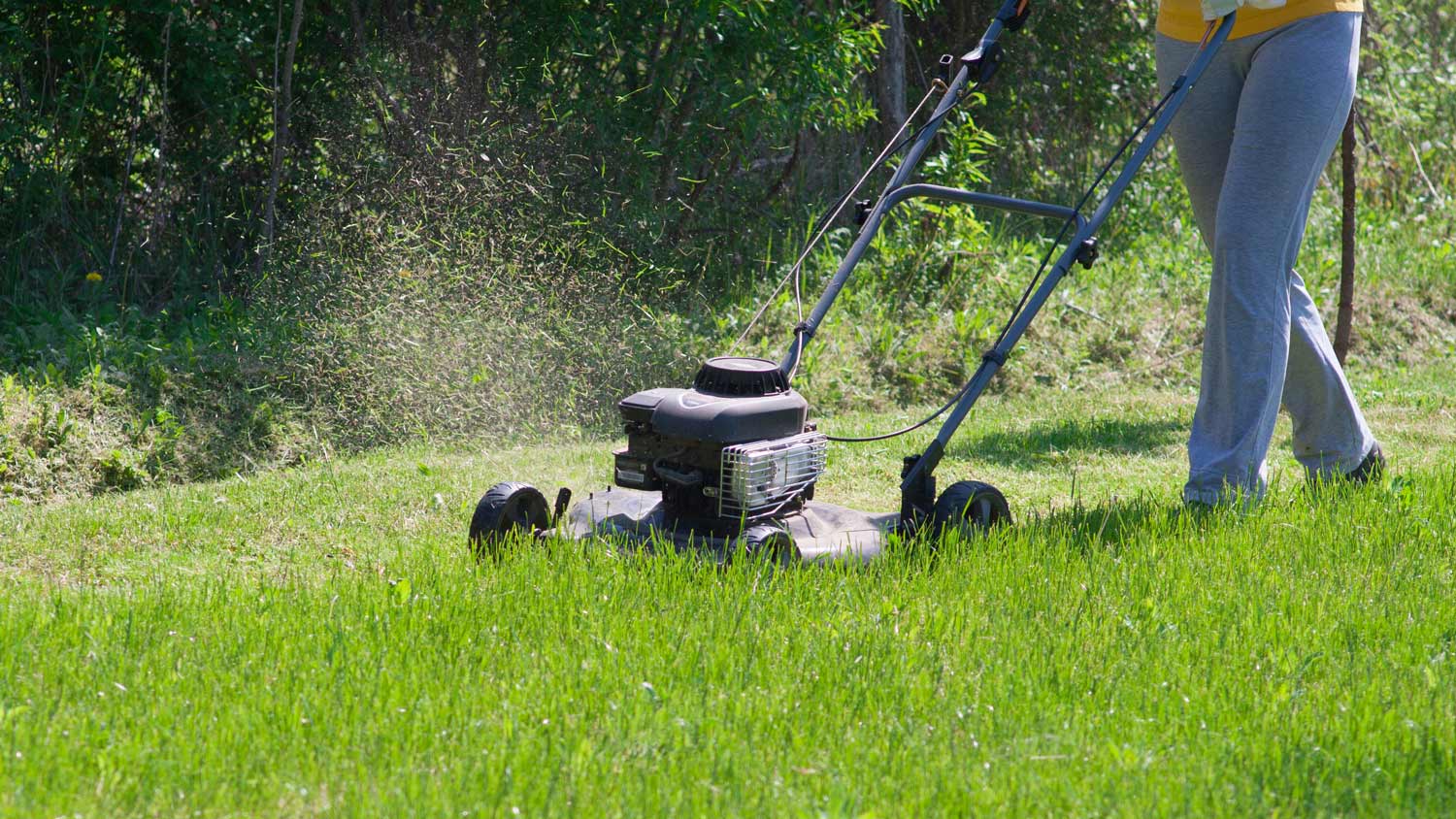 Young female in yard - pushing grass trimming lawnmower