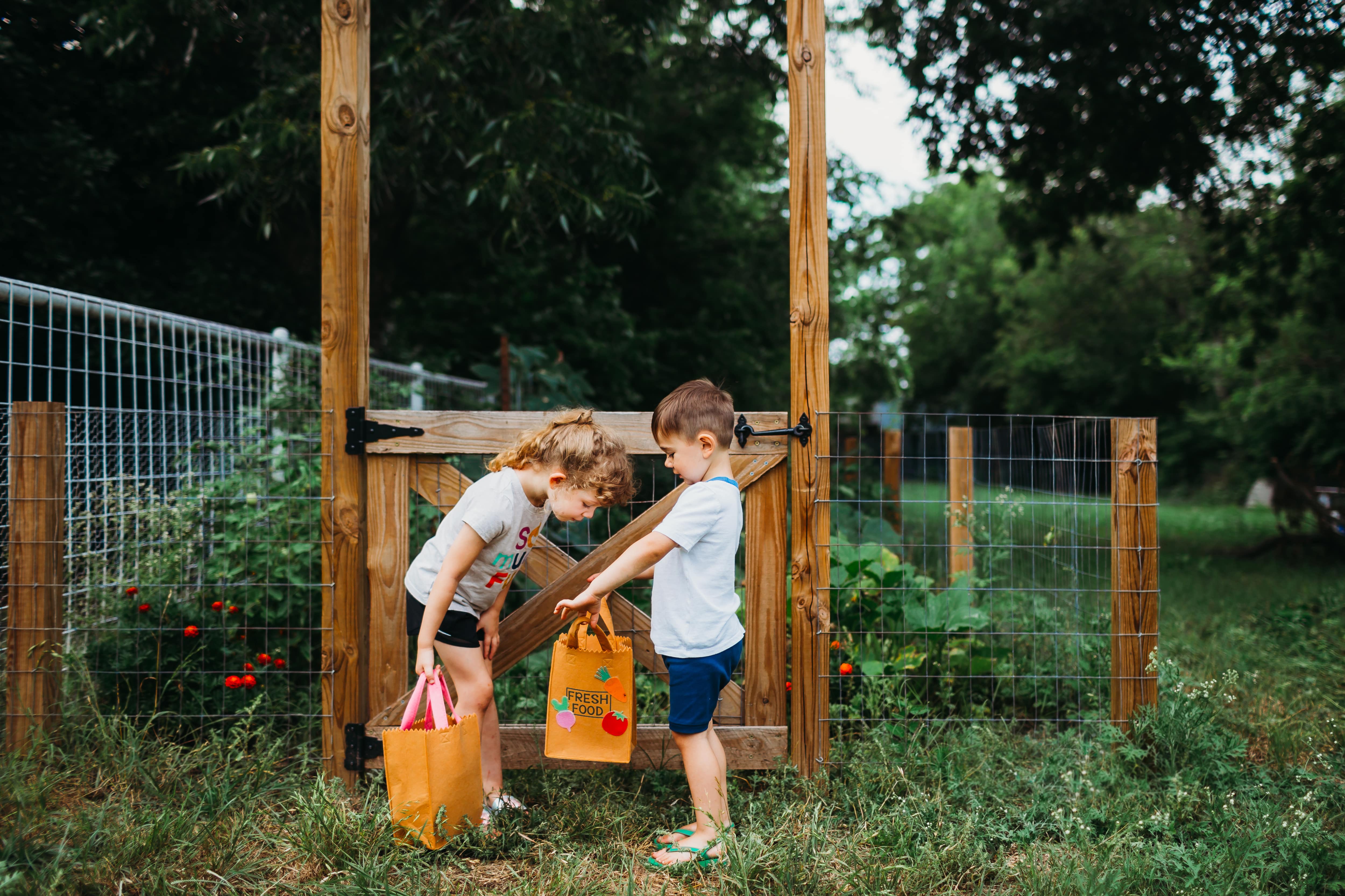 Brother and sister picking plants from garden enclosed in wood and wire fencing