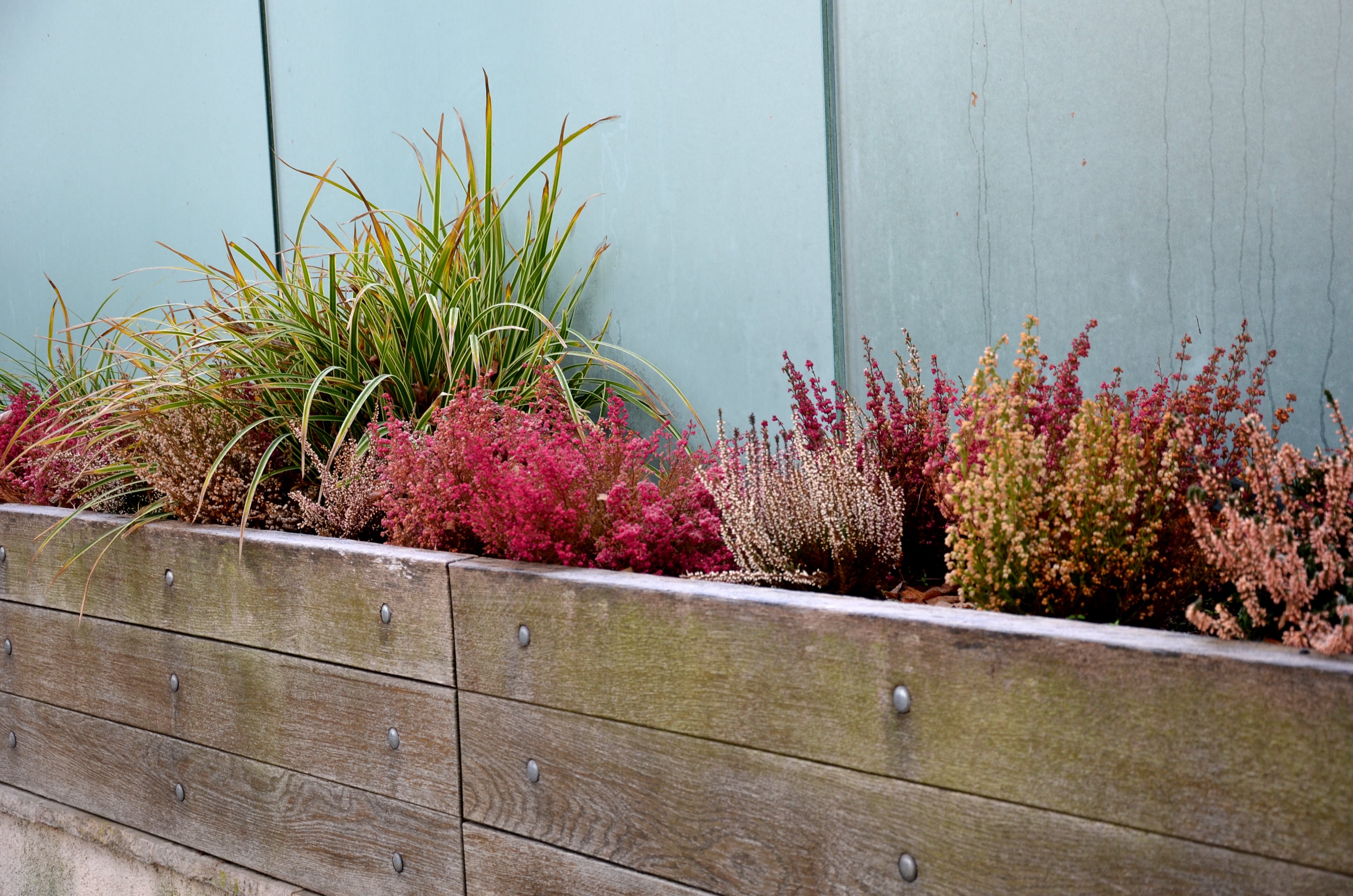 Planter box built into wood fence design