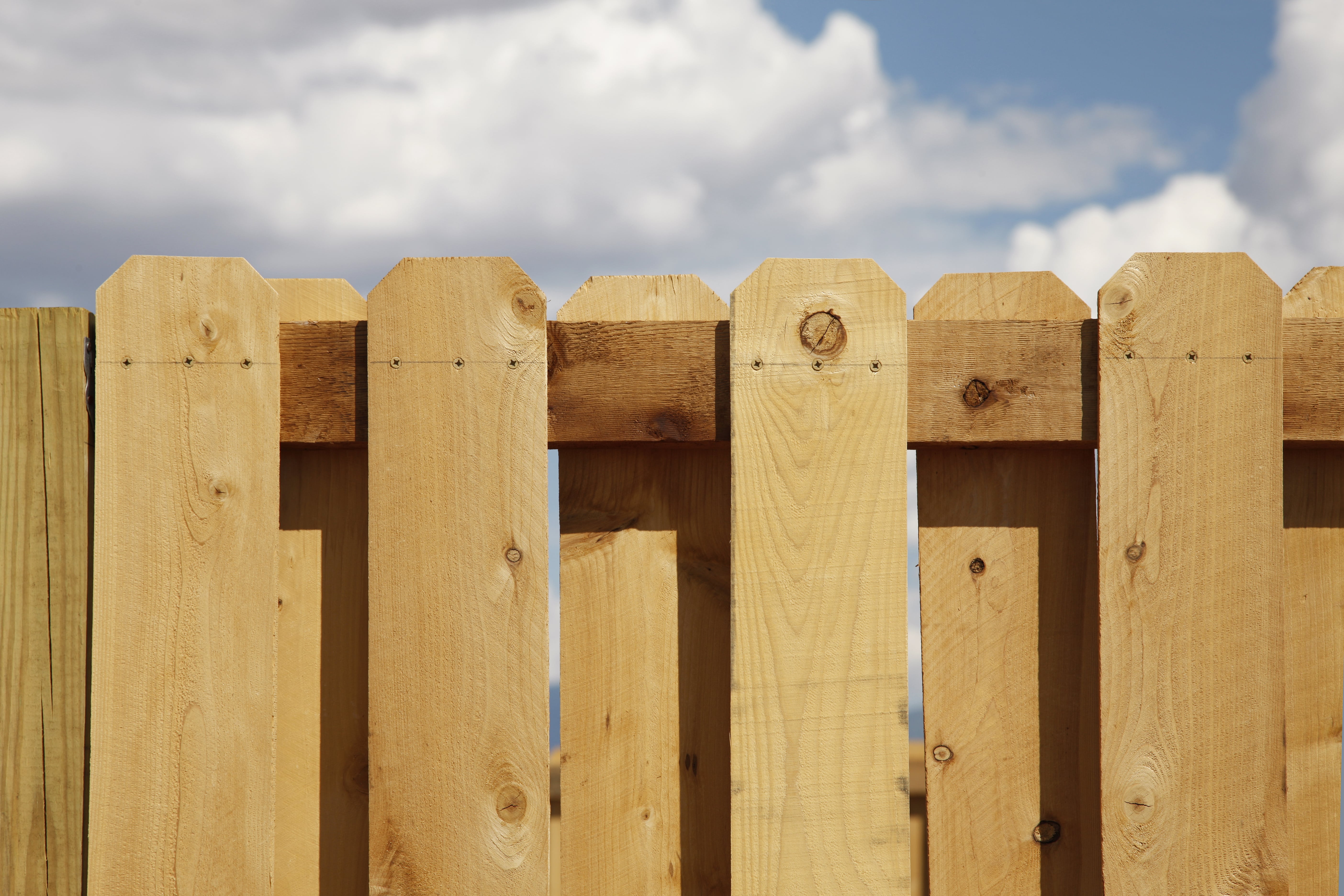 Close-up of shadow-box fence in yard