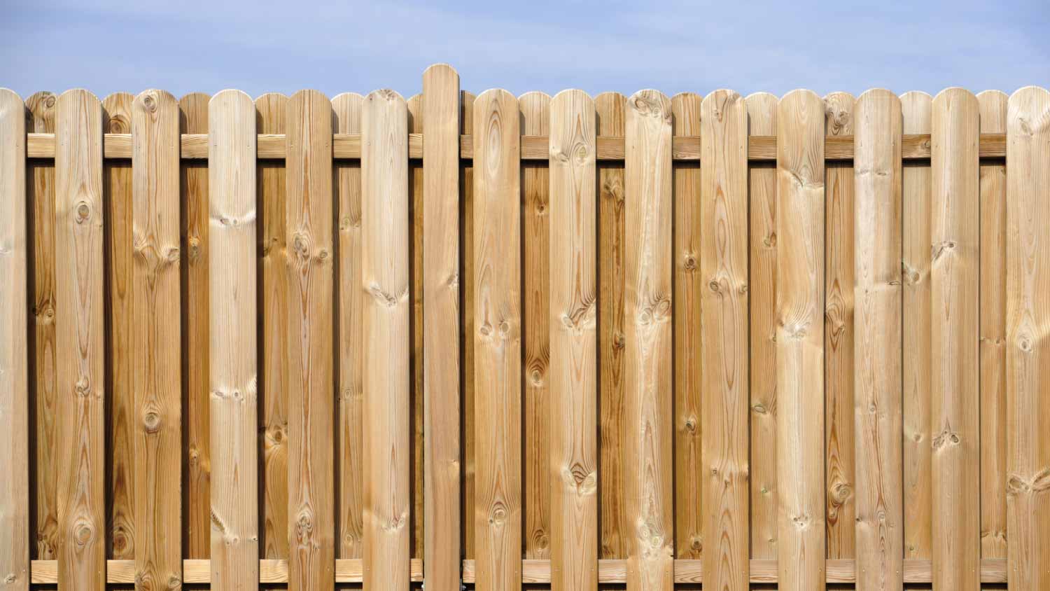 Wood fence landscape