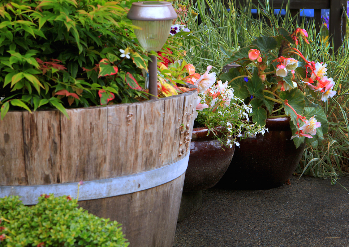 wood and ceramic planters with plants