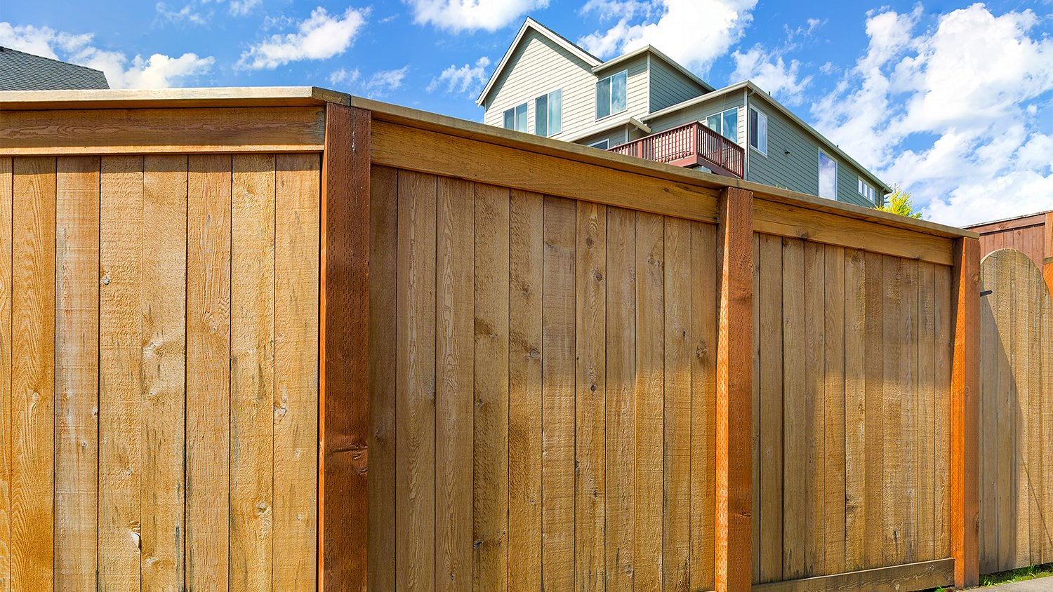 backyard wood fence