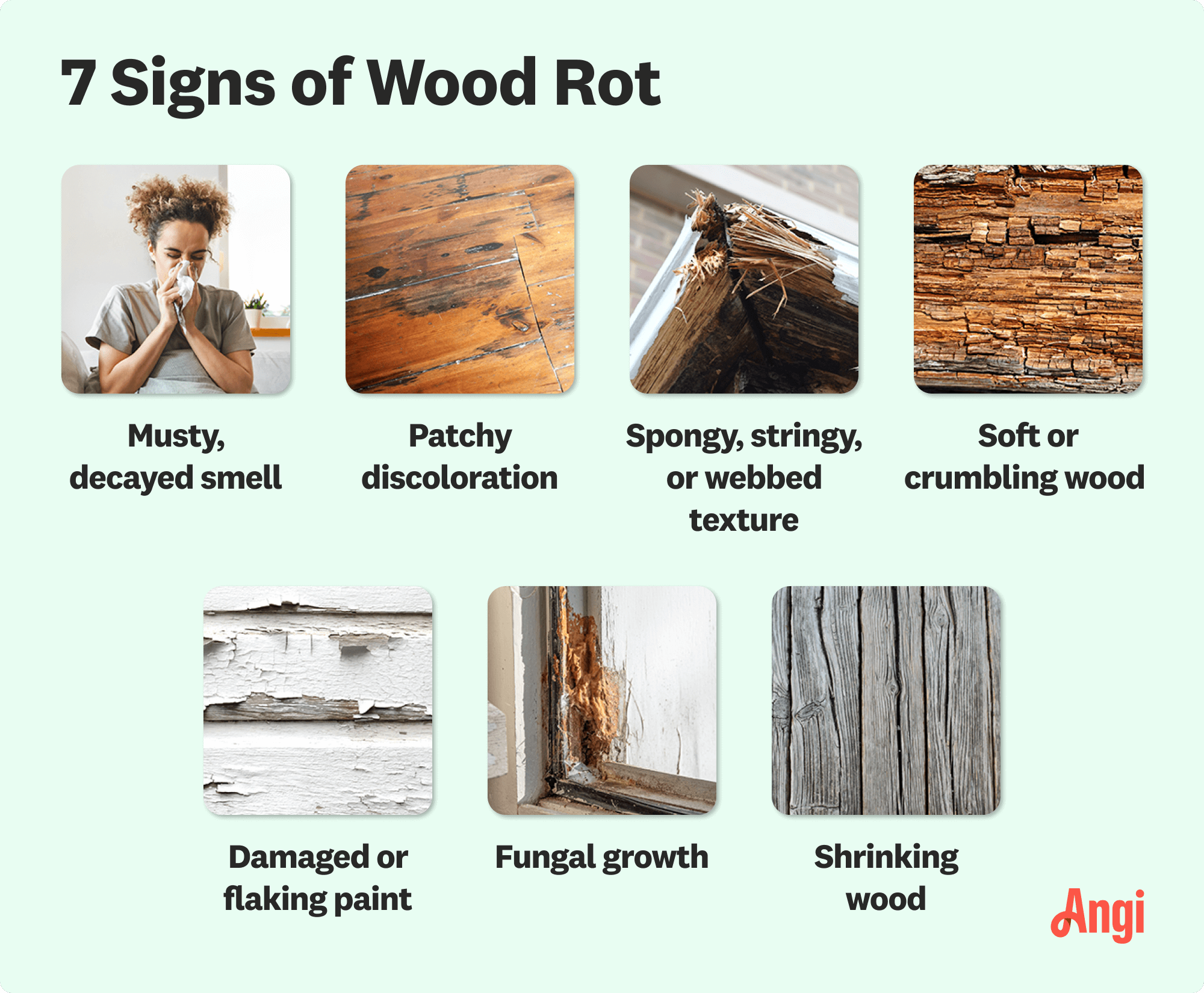 7 wood rot signs visually compared, including patchy discoloration and damaged or flaking paint