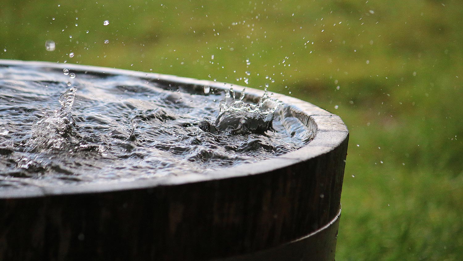 A wooden barrel collecting rain water