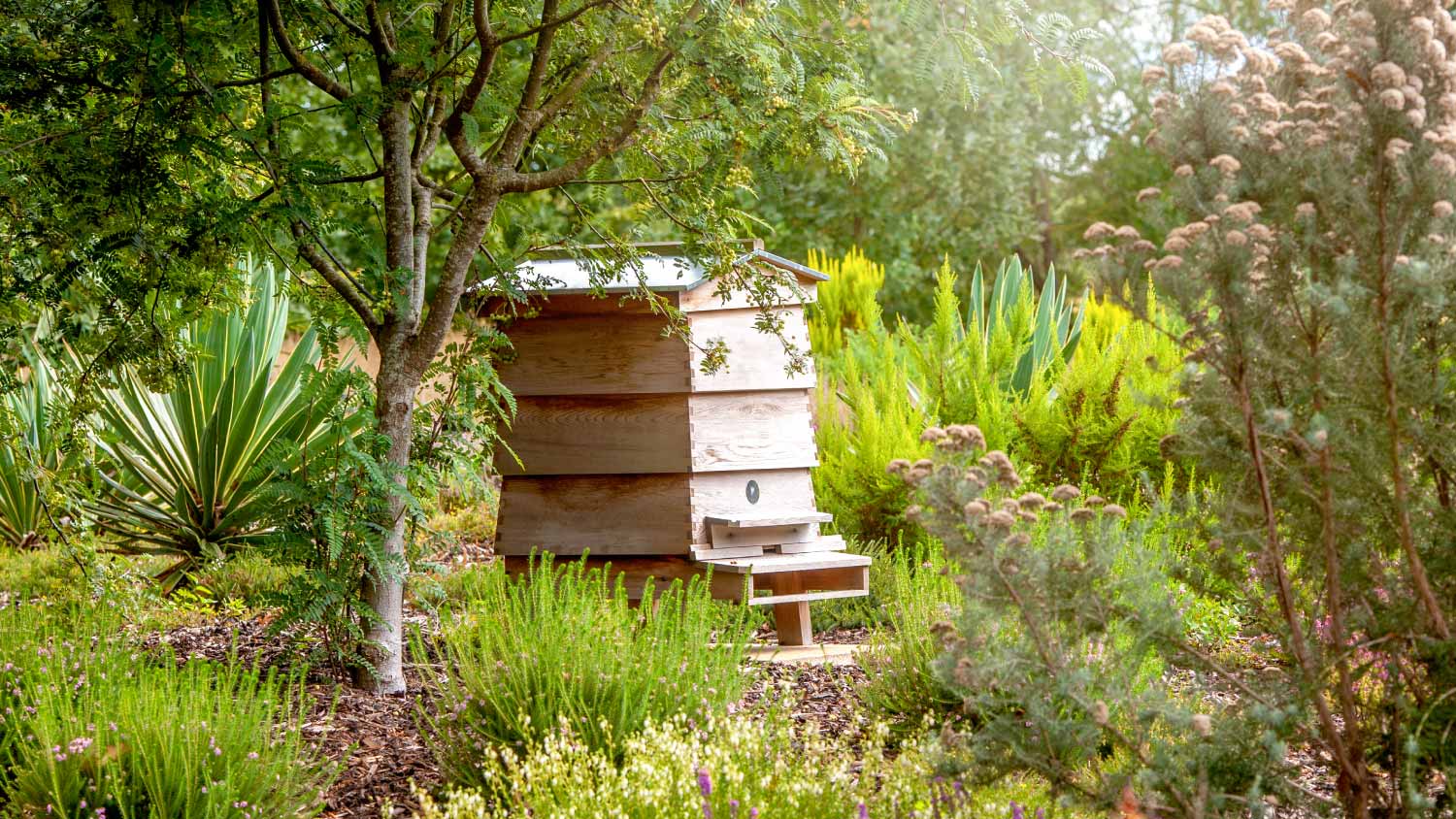 A wooden bee hive