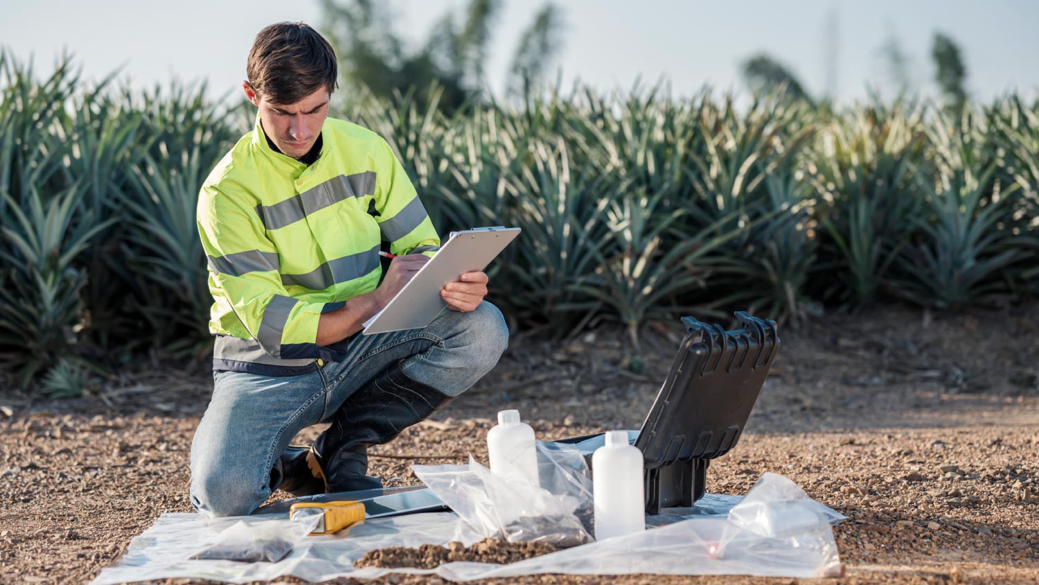 A worker checking the soil pH balance