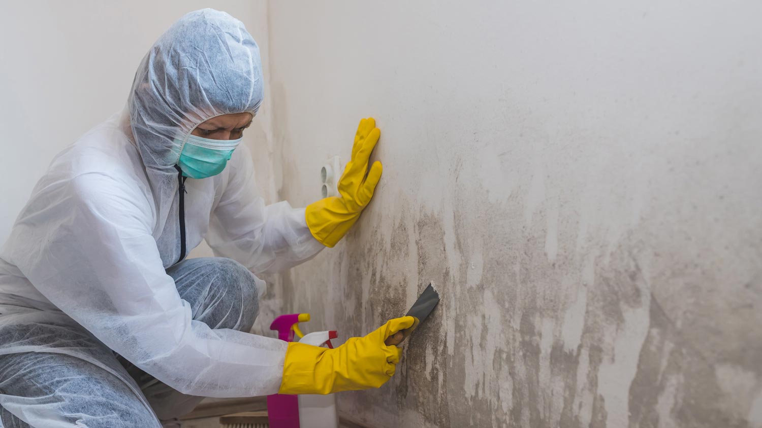 A worker cleaning mold off a wall