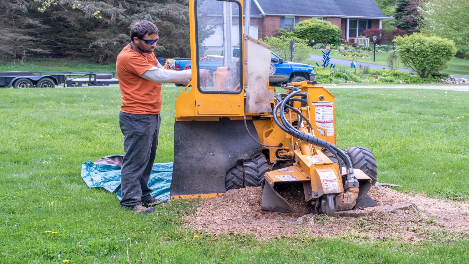 worker grinds out stump