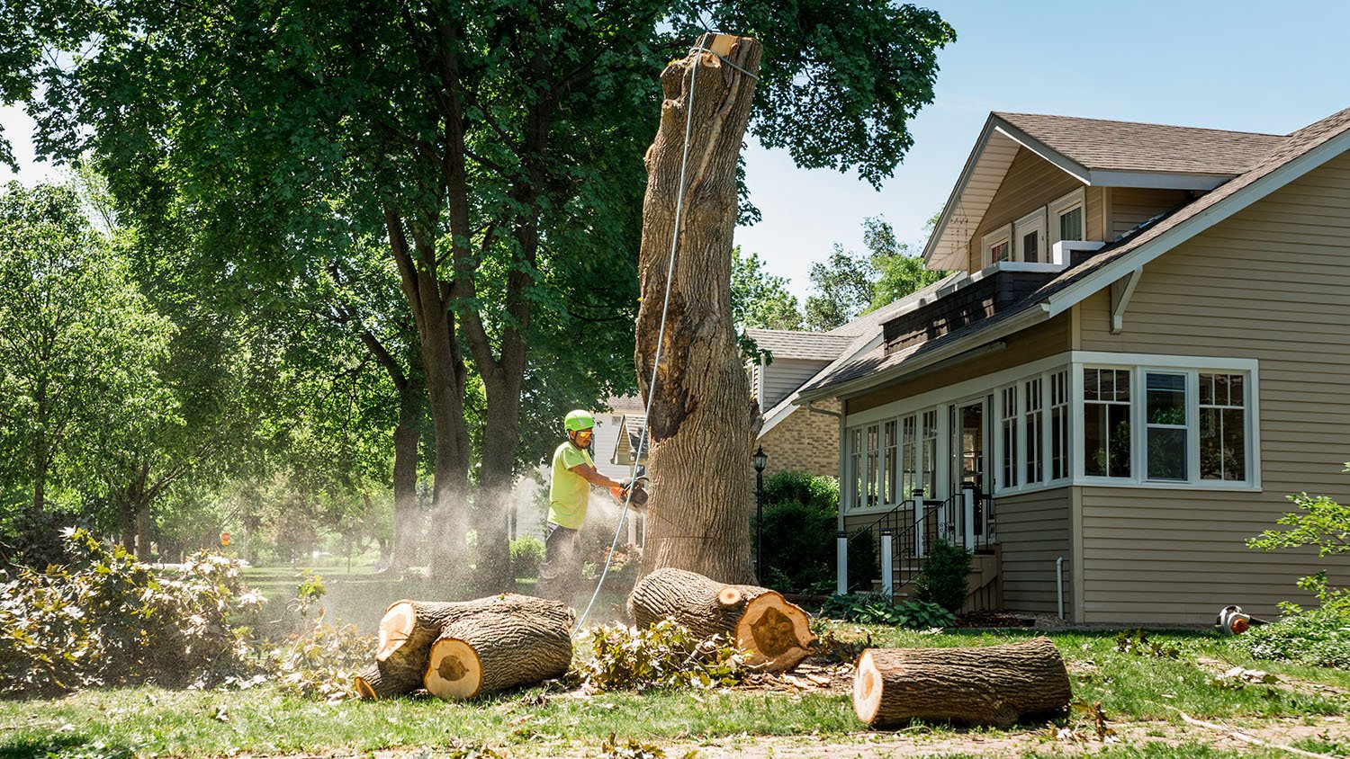 Tree removal worker cutting a stump