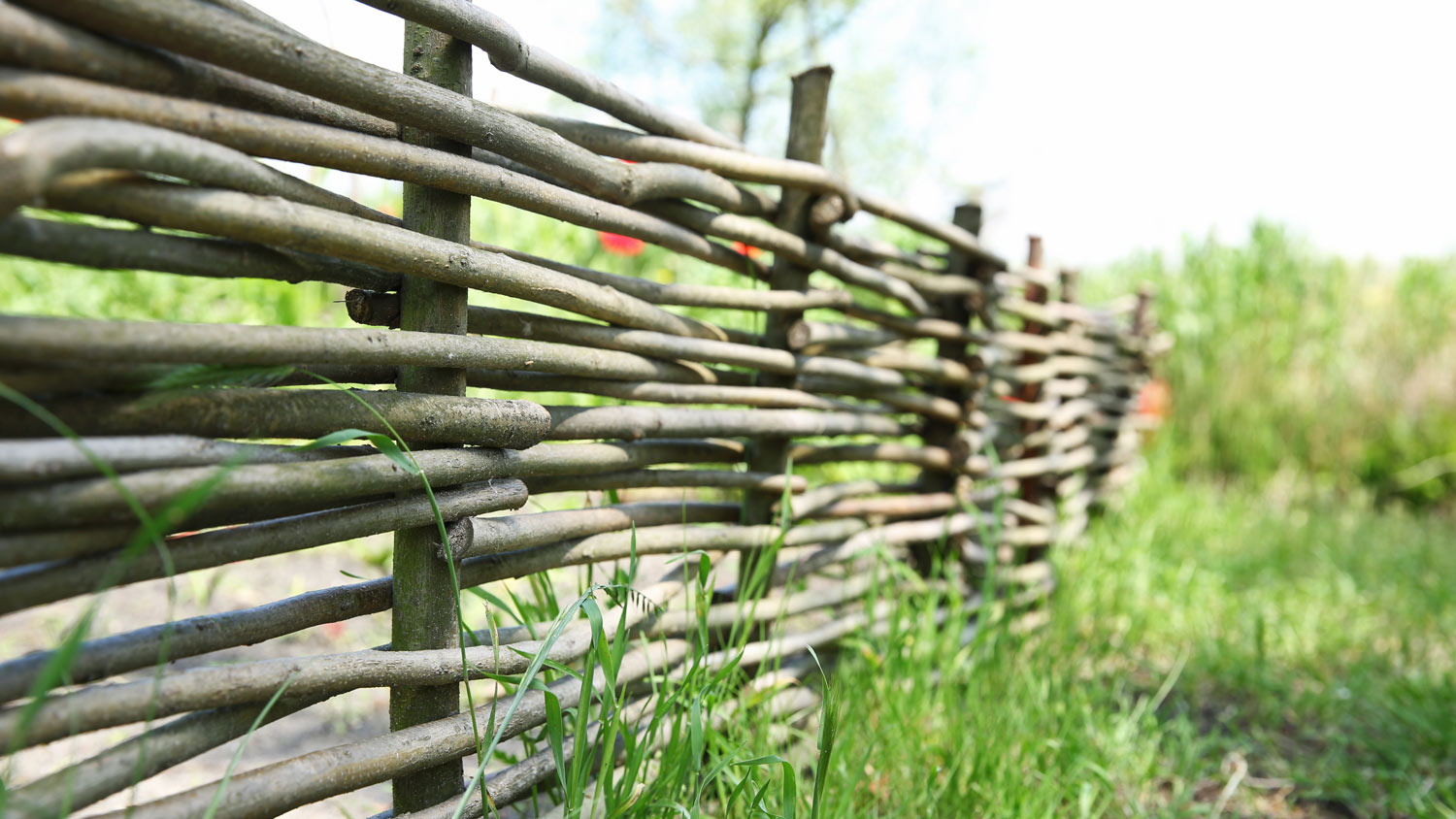 Handmade fence made of sticks