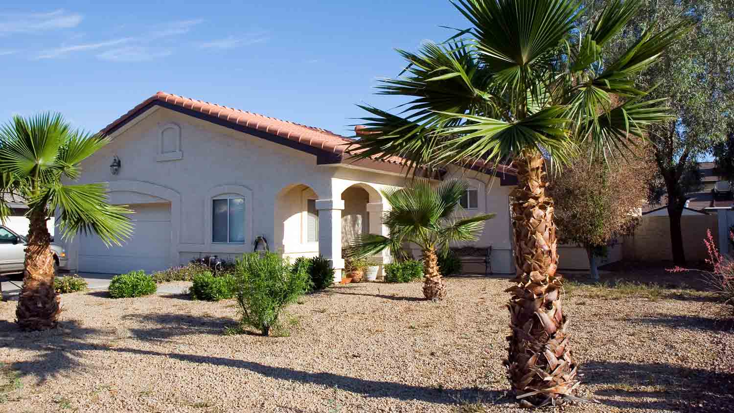 front yard with small palm trees