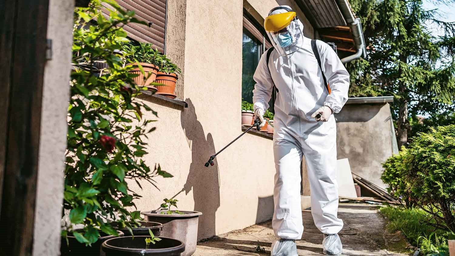 Professional spraying pesticide on a residential patio 