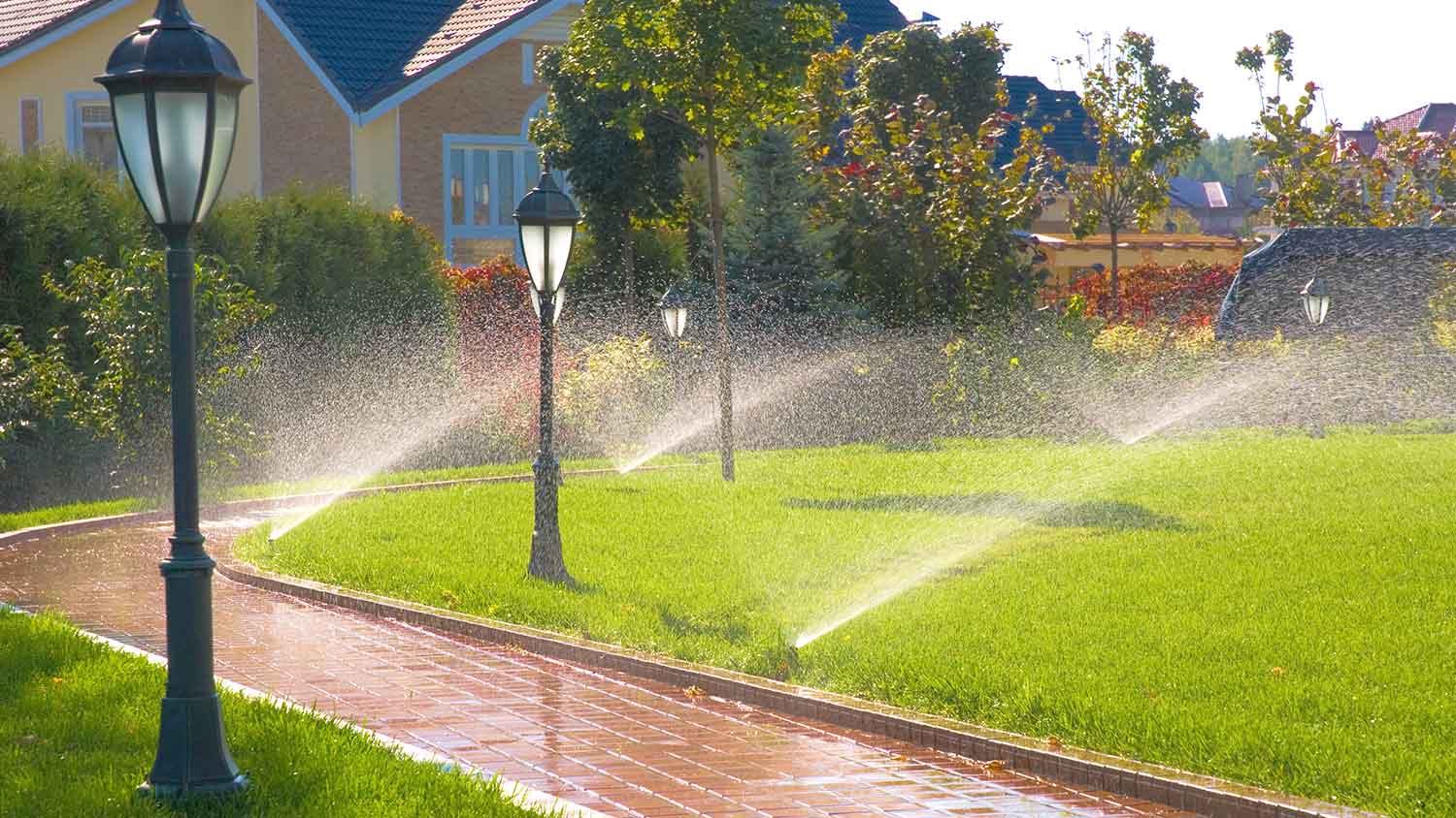 Automatic sprinkler system installed in the yard 