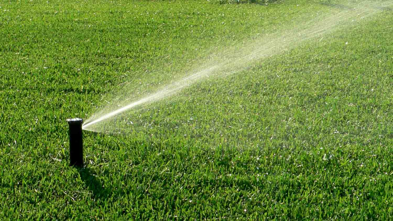 yard with sprinkler