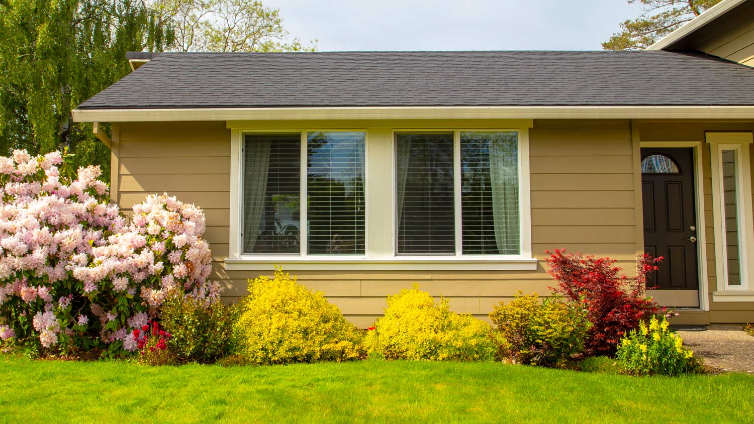 Plants in front of house exterior