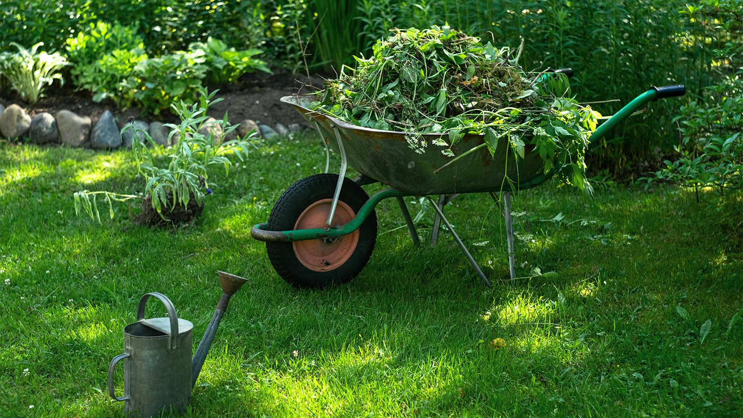 Yard Clean Up Services Spring Fall Lawn Clean-Up After, 60% OFF