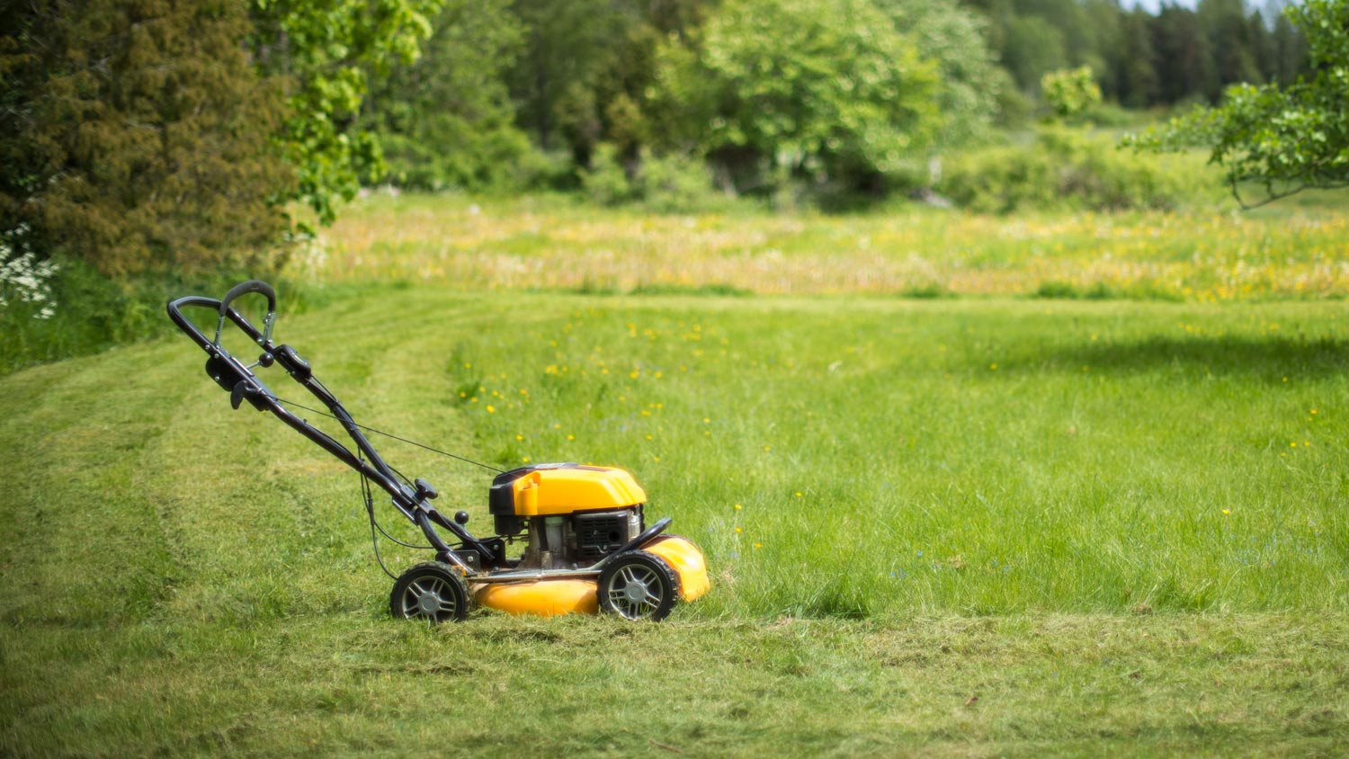 Yellow lawn mower in field