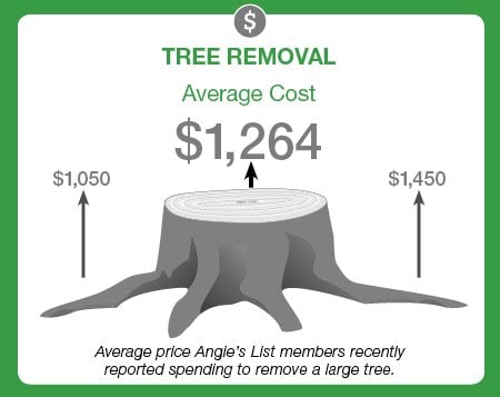 average price to remove a large tree