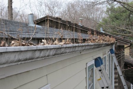 builder grade gutters grow shrubs