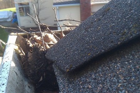 Like traditional gutter guards, foam guards help keep leaves, sticks and other debris from collecting in the gutter system. (Photo courtesy of Angie's List member Patrick P. of Lopez Island, Washington)
