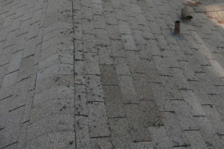 hail damaged roof