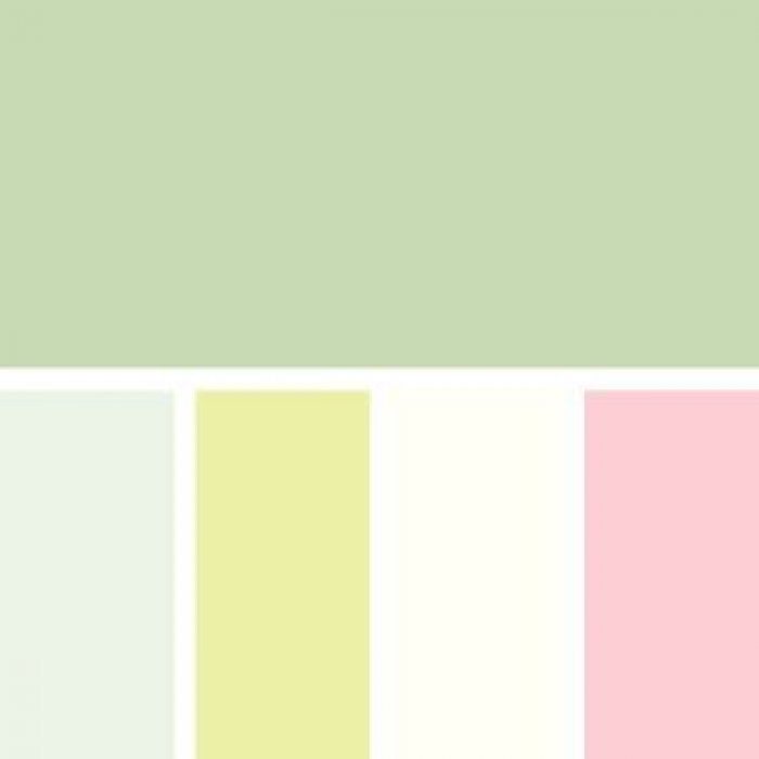 warm color palette