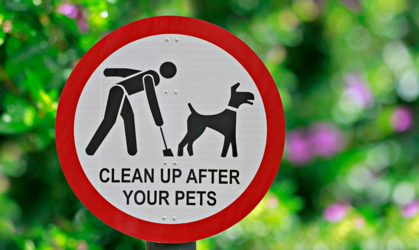 dog poop sign