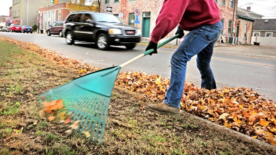 Raking Leaves or Mulching Leaves — Which Is Better? Angi [Angie's List]