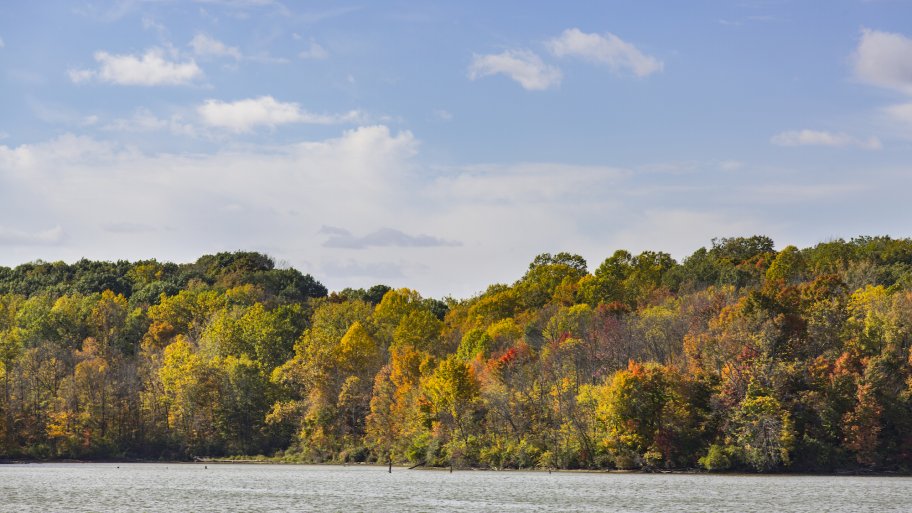 fall trees at Eagle Creek Park