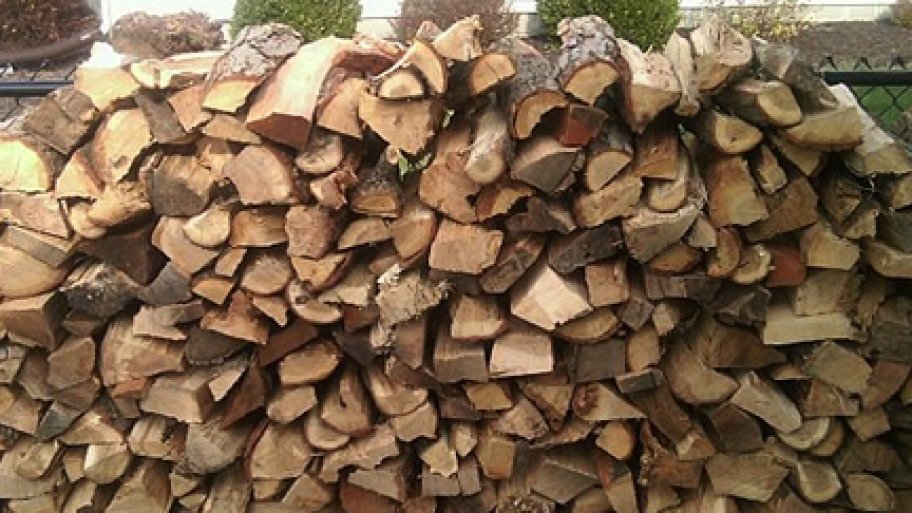 pile of firewood