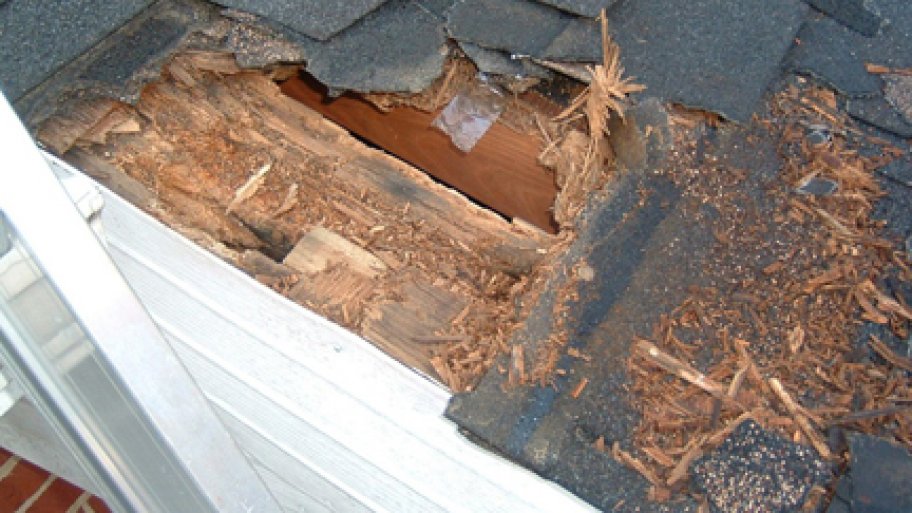 roof damage