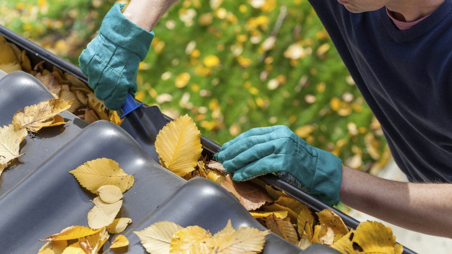 cleaning gutters
